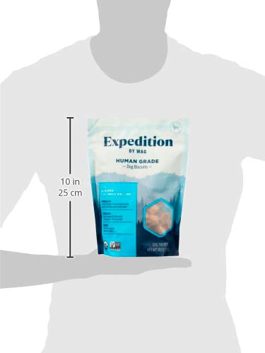 Wag Expedition Pumpkin Chia Dog Treats, Organic Biscuits