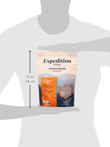 Wag Expedition Pumpkin Chia Dog Treats, Organic Biscuits