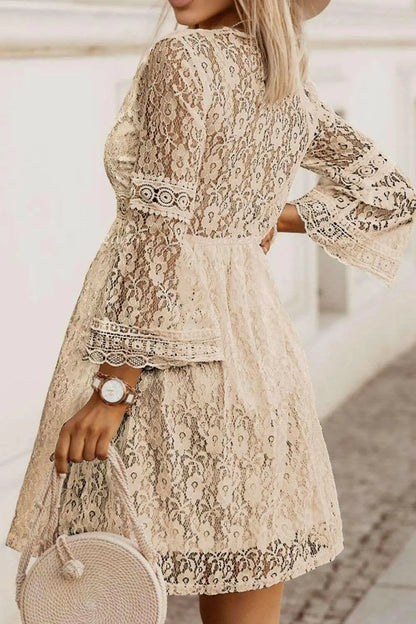 Lace V-Neck Three-Quarter Sleeve Dress.