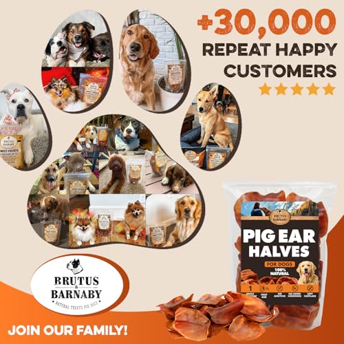 PawSavor Pig Ears: Natural, Tasty Chews for Dogs