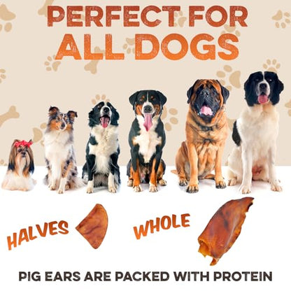 PawSavor Pig Ears: Natural, Tasty Chews for Dogs