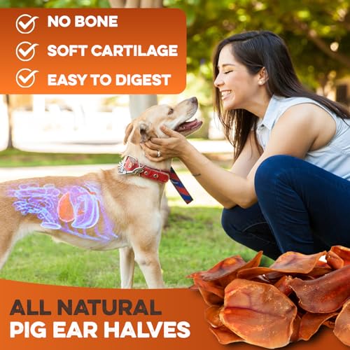 PawSavor Pig Ears: Natural, Tasty Chews for Dogs