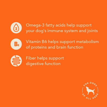 Wag Expedition Pumpkin Chia Dog Treats, Organic Biscuits