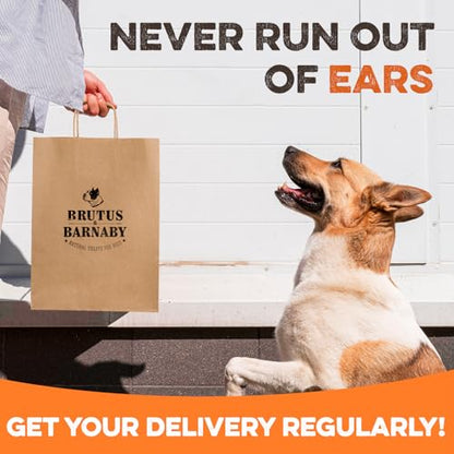 PawSavor Pig Ears: Natural, Tasty Chews for Dogs