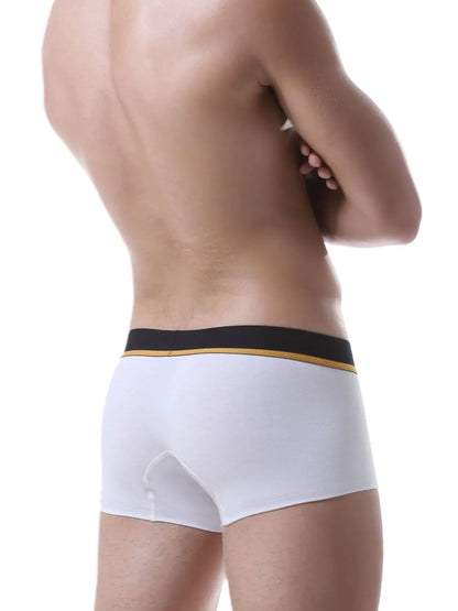 Men's Contrast Panty - Premium Men's underwear from Trendsi - Just $16.60! Shop now at Handbags Specialist Headquarter