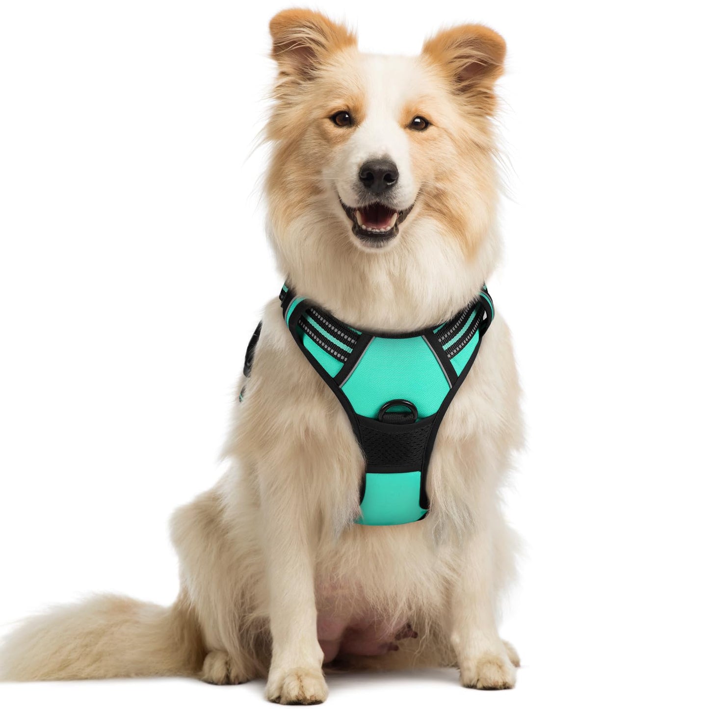 PawGuard No-Pull Reflective Dog Harness - Large Black