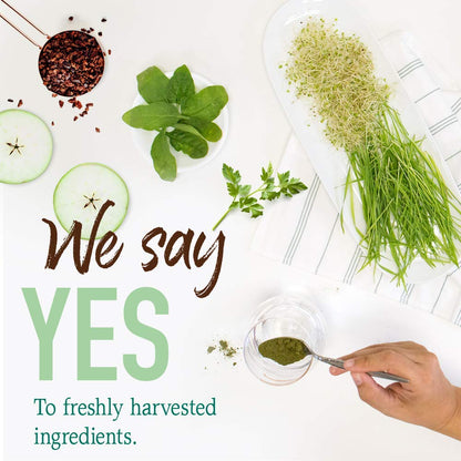 GreenVitality Superfood Powder - Juiced Greens Blend