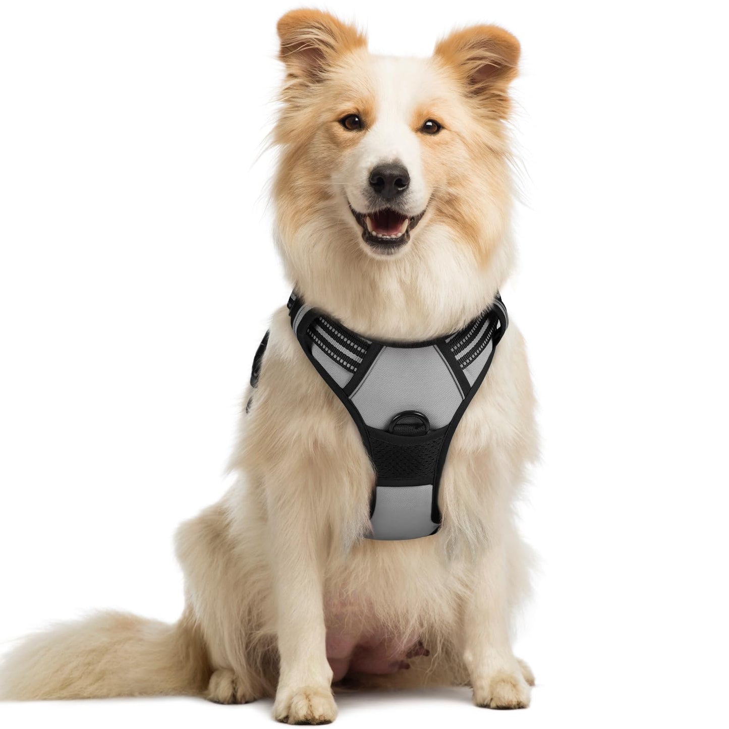 PawGuard No-Pull Reflective Dog Harness - Large Black