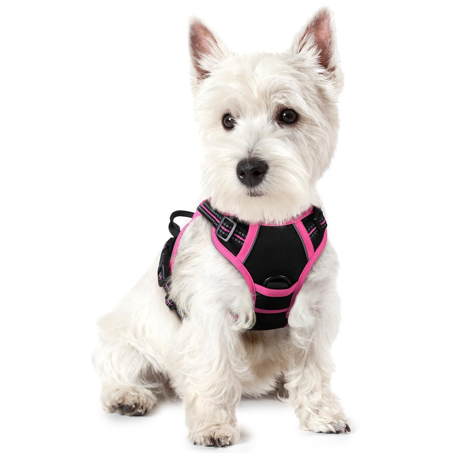 PawGuard No-Pull Reflective Dog Harness - Large Black