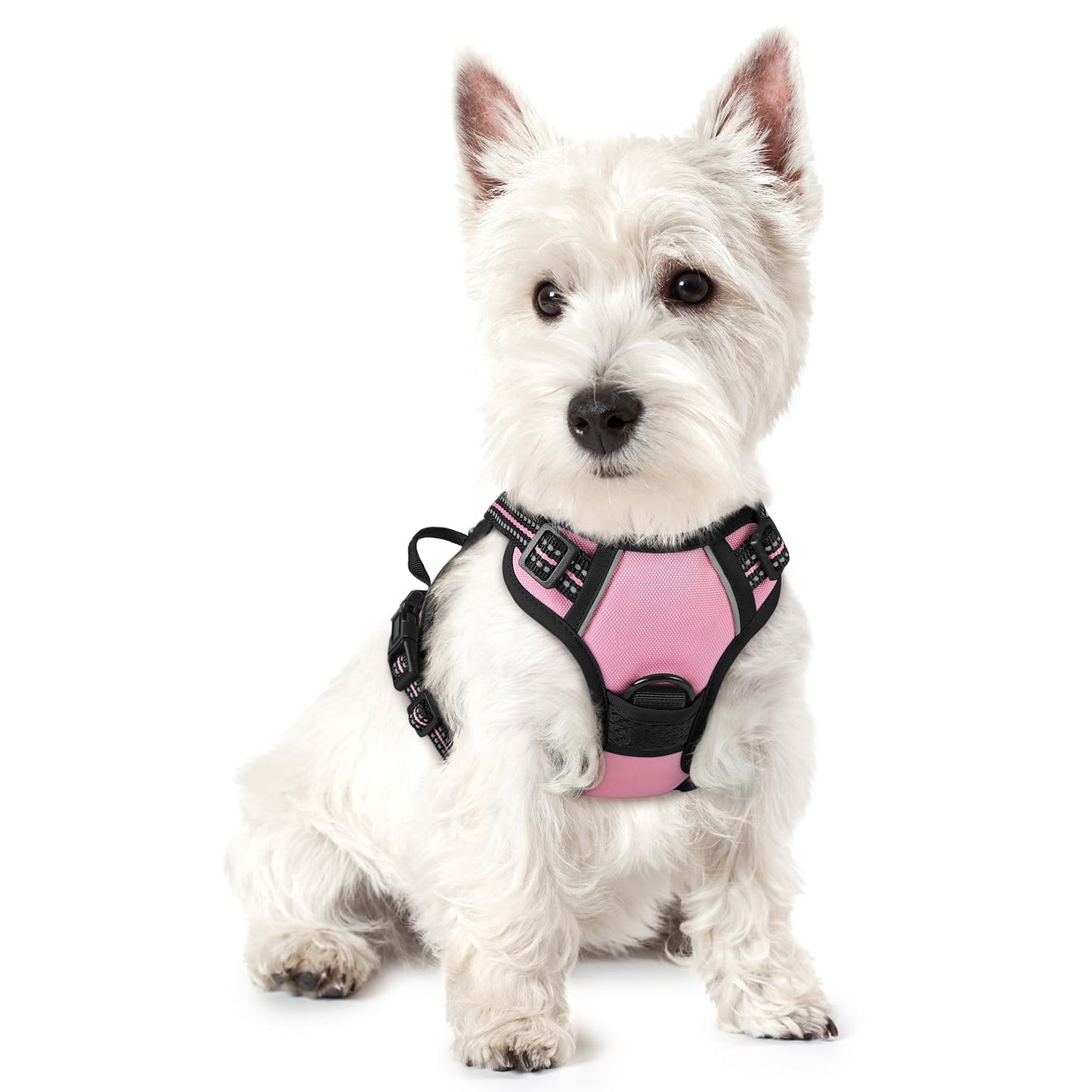 PawGuard No-Pull Reflective Dog Harness - Large Black