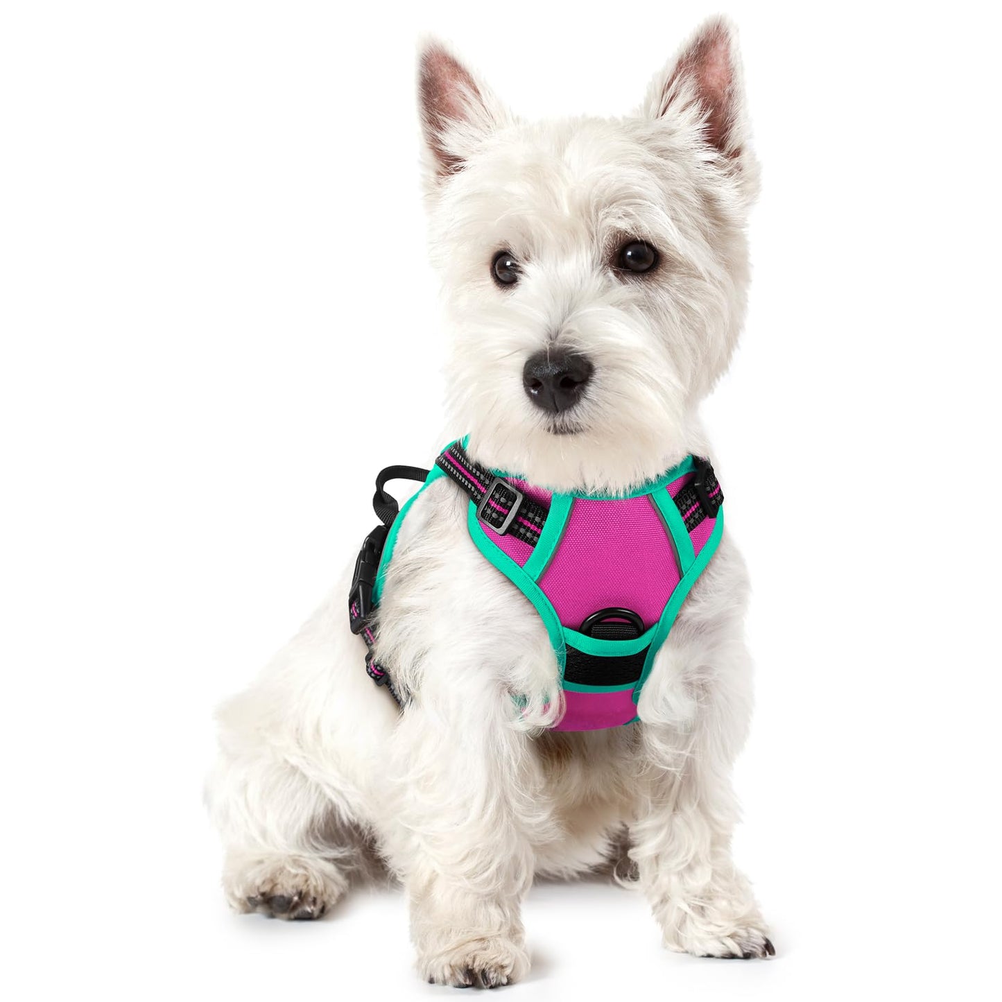 PawGuard No-Pull Reflective Dog Harness - Large Black
