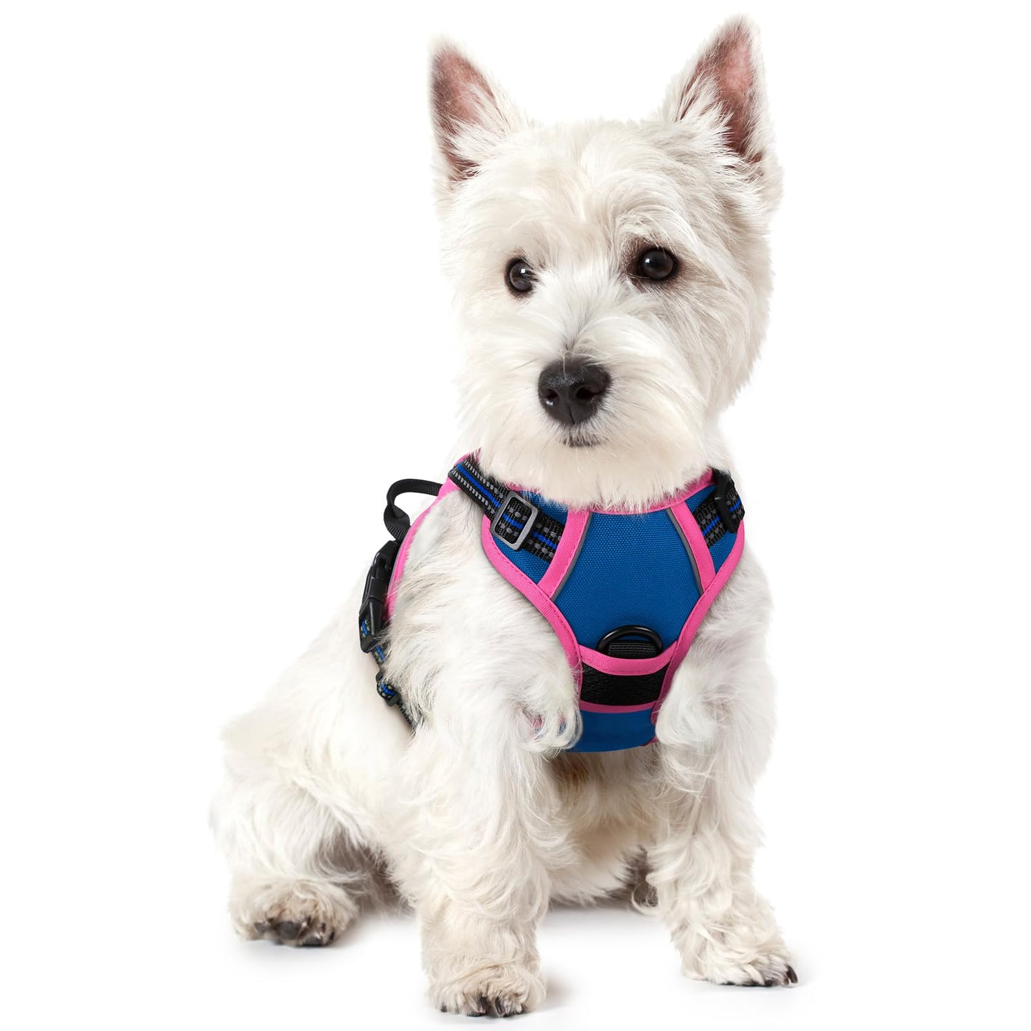 PawGuard No-Pull Reflective Dog Harness - Large Black