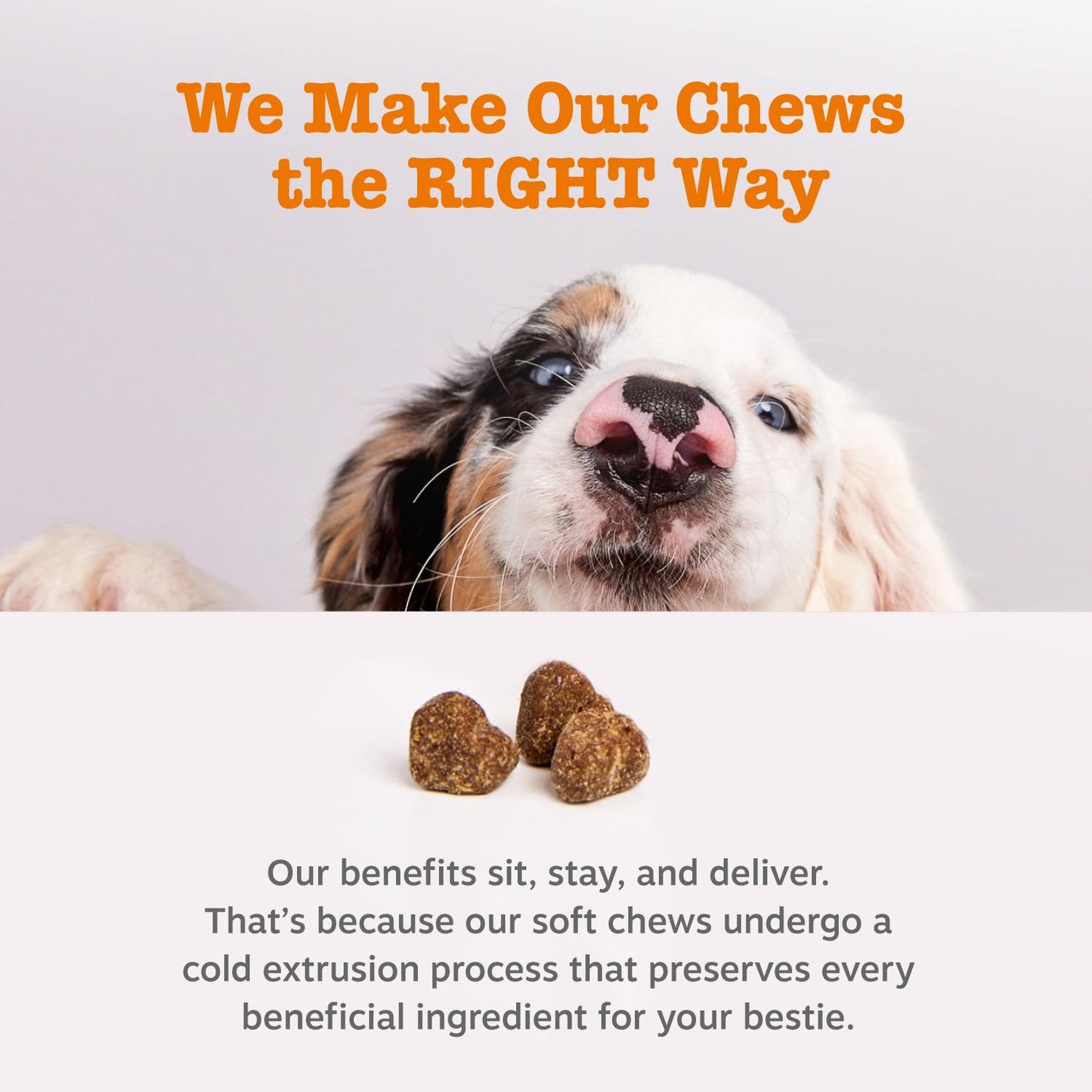 Zesty Paws Itch & Allergy Relief Chews - Lamb 90ct
