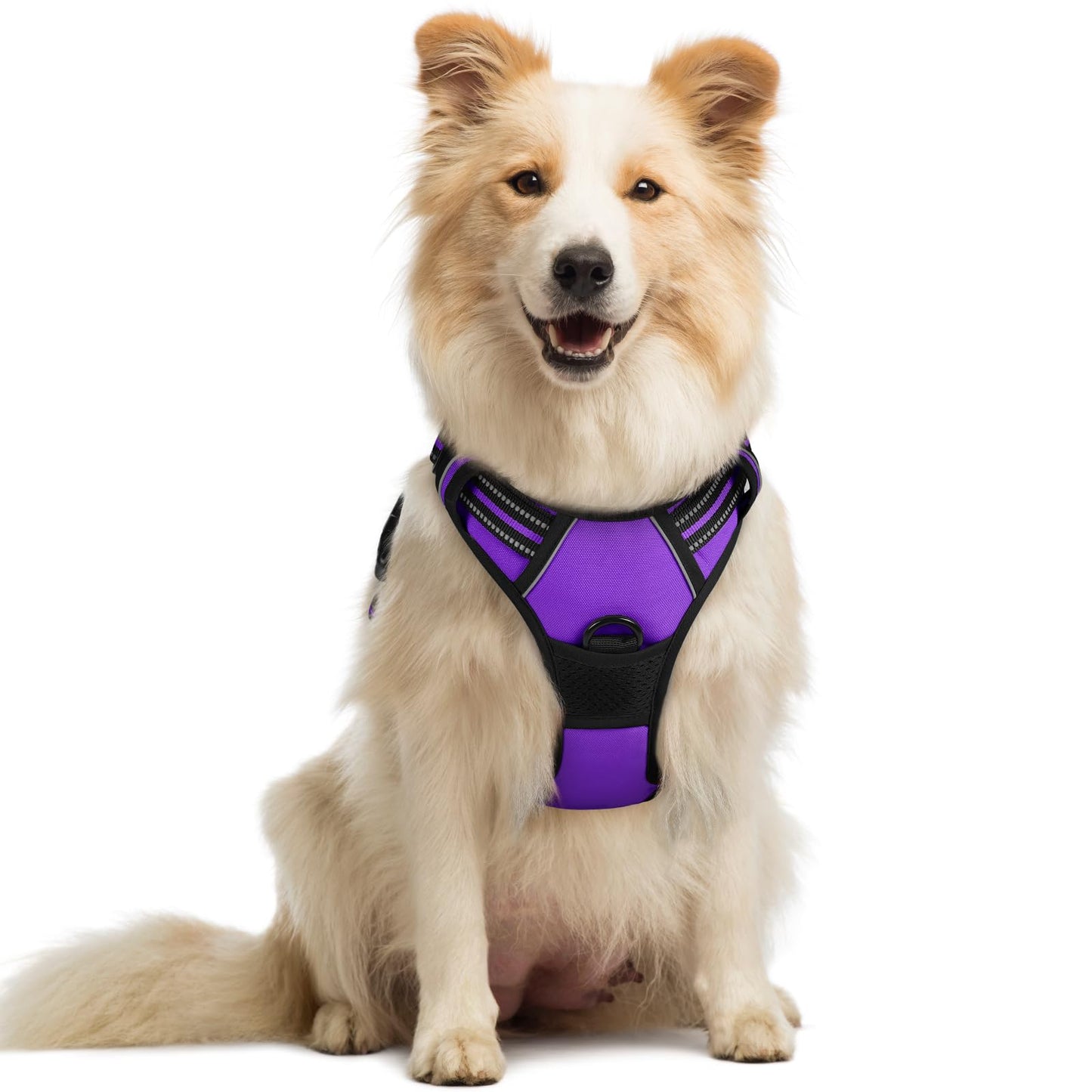 PawGuard No-Pull Reflective Dog Harness - Large Black
