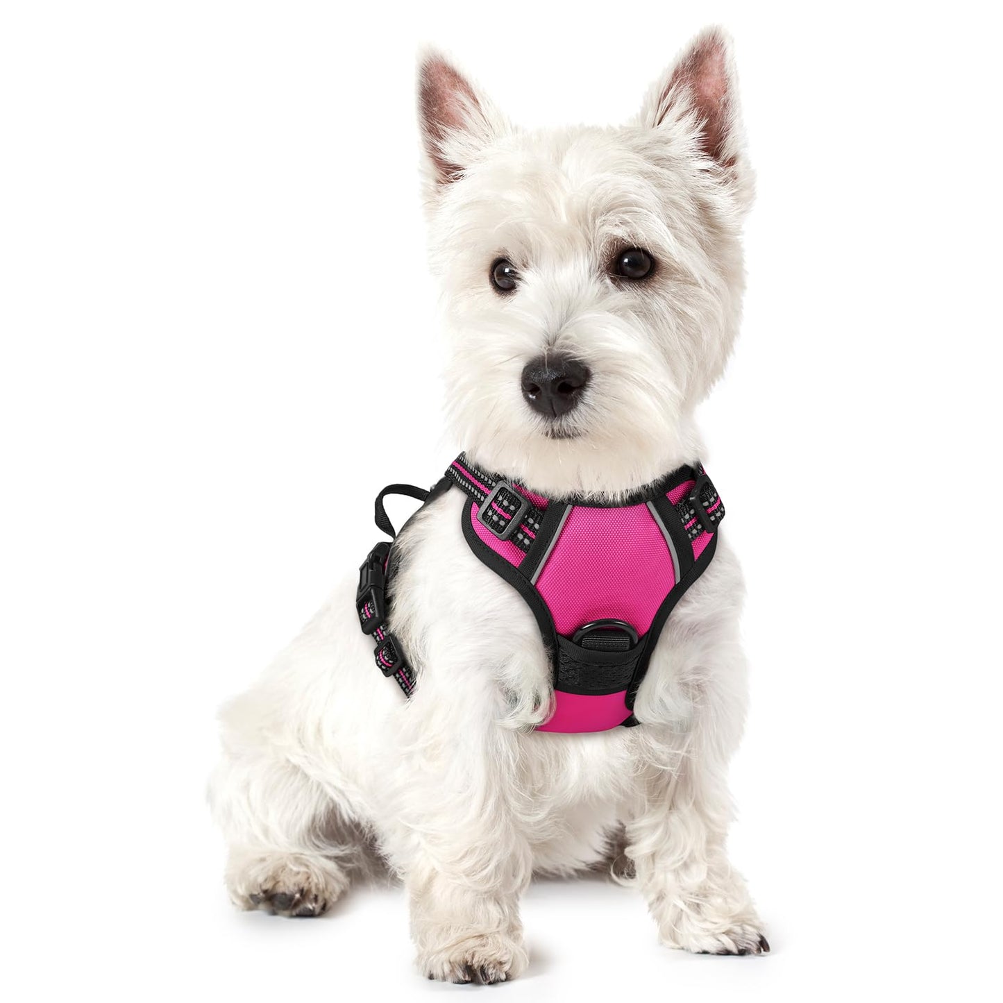 PawGuard No-Pull Reflective Dog Harness - Large Black