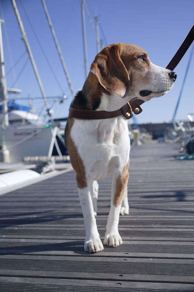 BronzeBark Slip Lead: Real Leather Adjustable Leash