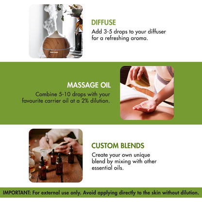 Majestic Pure Lavender Oil with Dropper 4oz