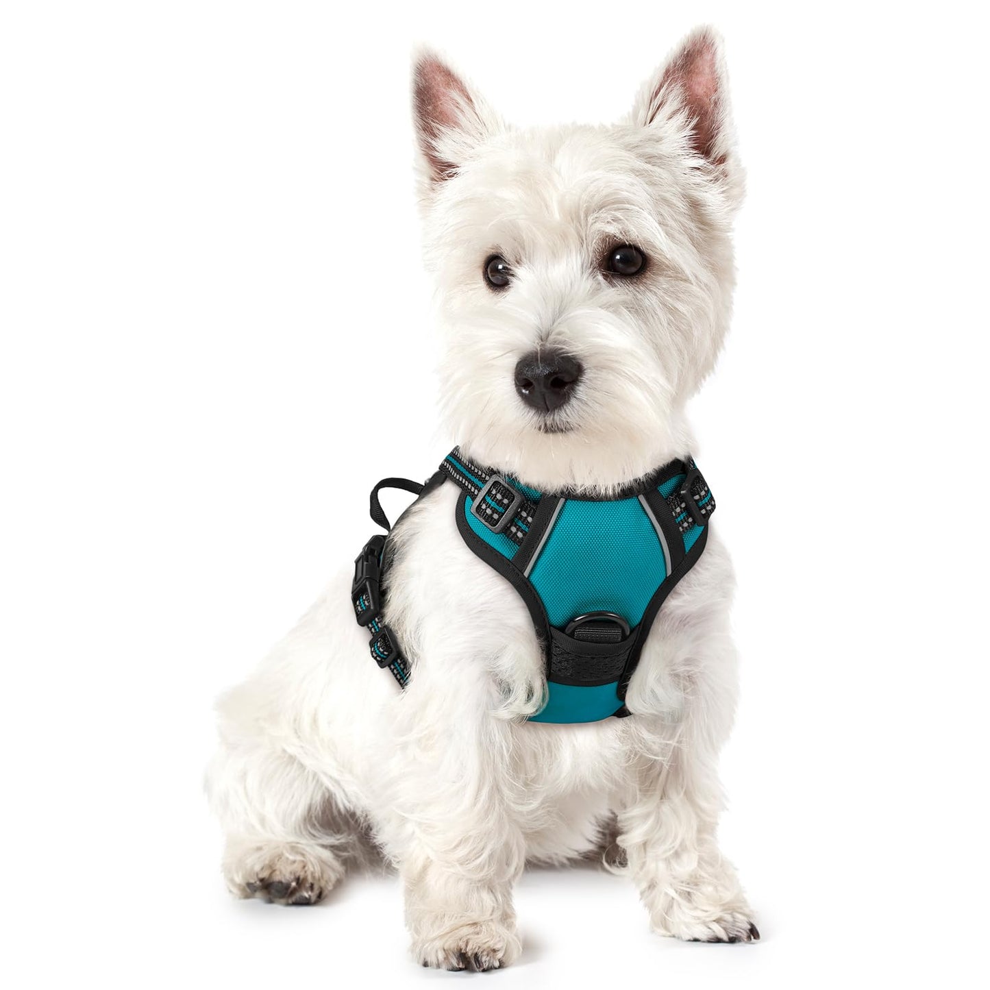 PawGuard No-Pull Reflective Dog Harness - Large Black