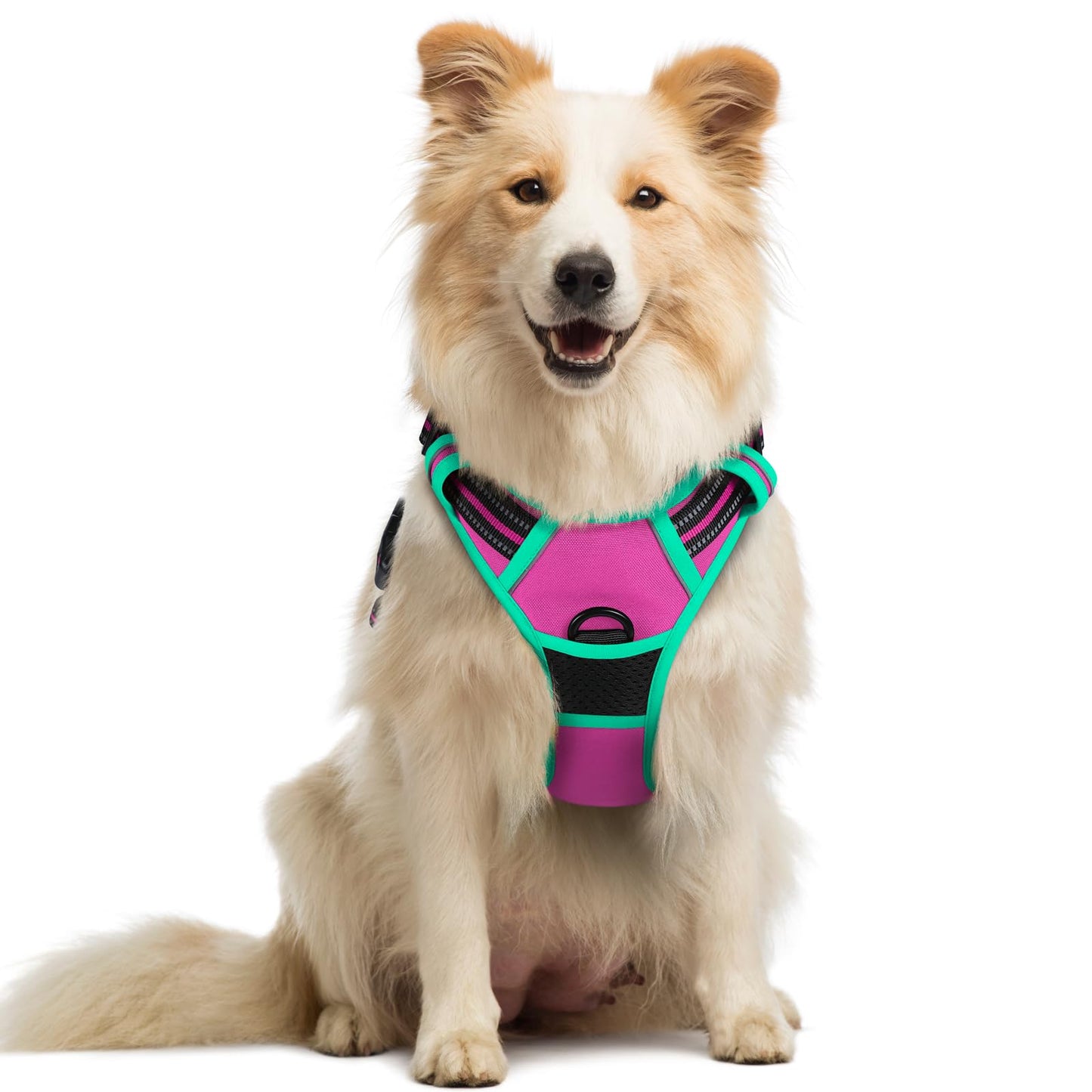 PawGuard No-Pull Reflective Dog Harness - Large Black