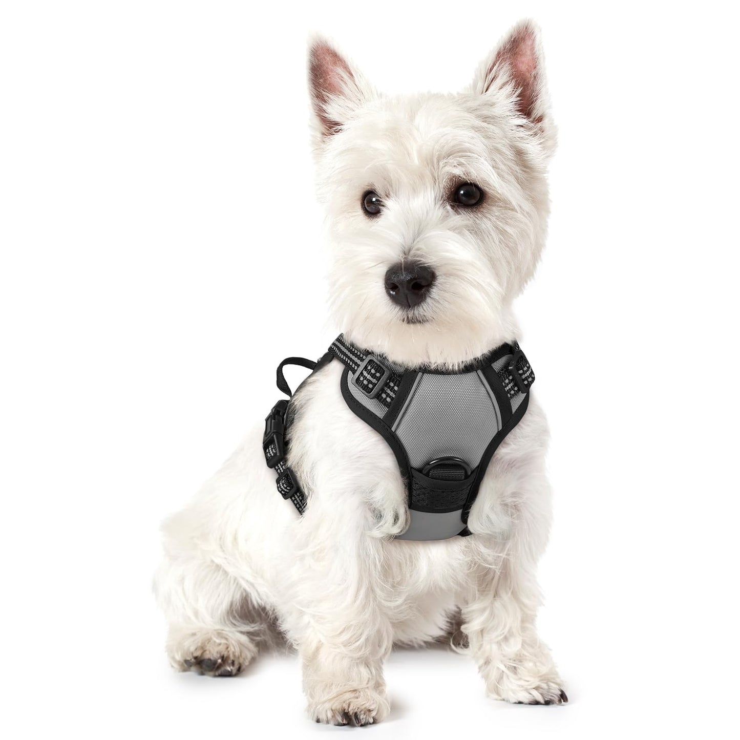 PawGuard No-Pull Reflective Dog Harness - Large Black