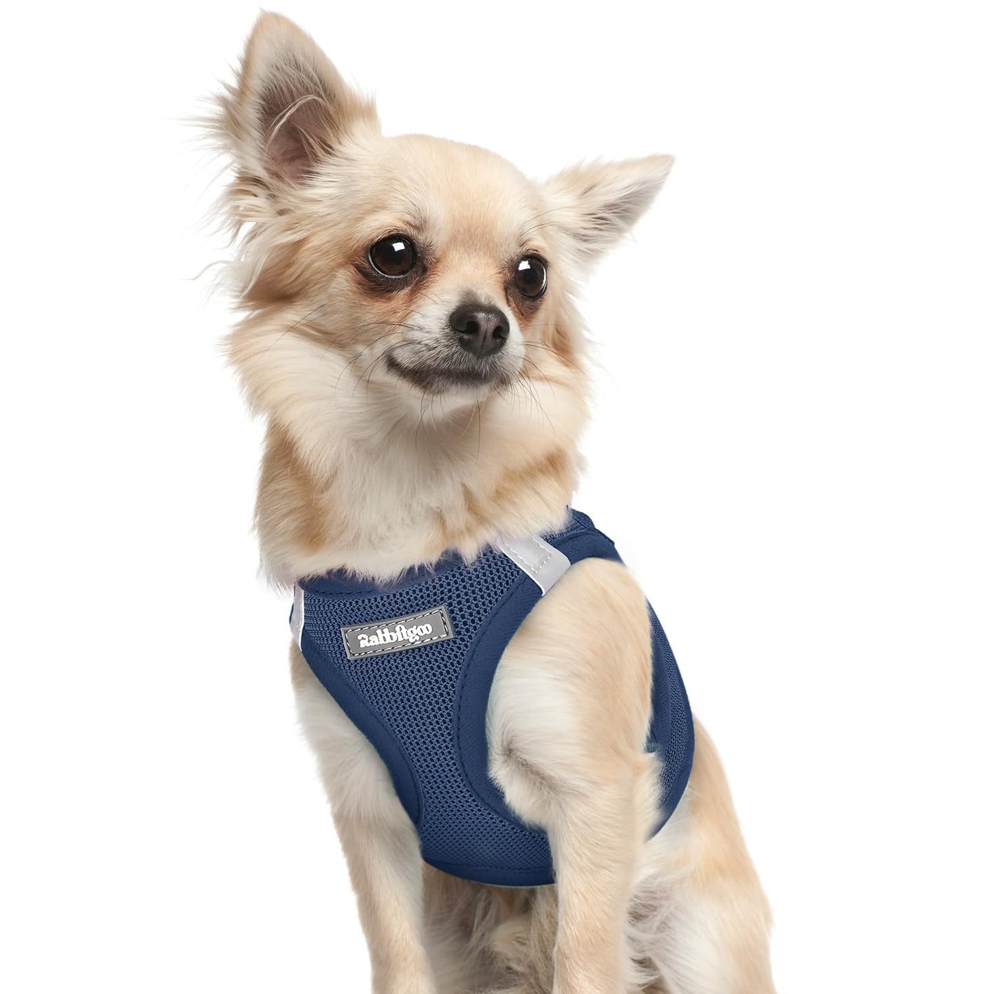 BunnyStep: Reflective Mesh Harness for Small Dogs