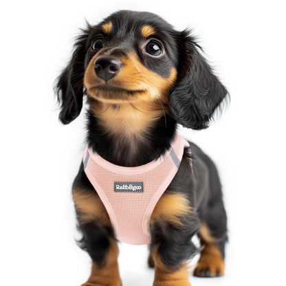 BunnyStep: Reflective Mesh Harness for Small Dogs