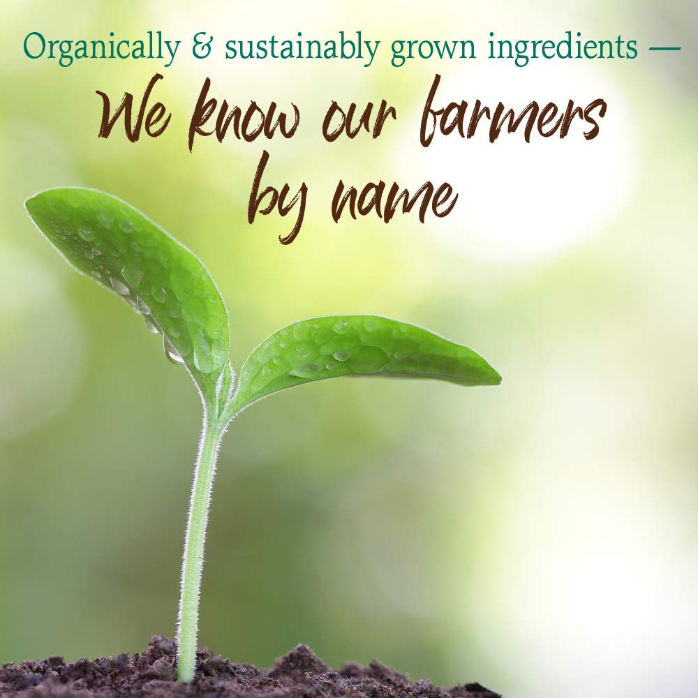 GreenVitality Superfood Powder - Juiced Greens Blend