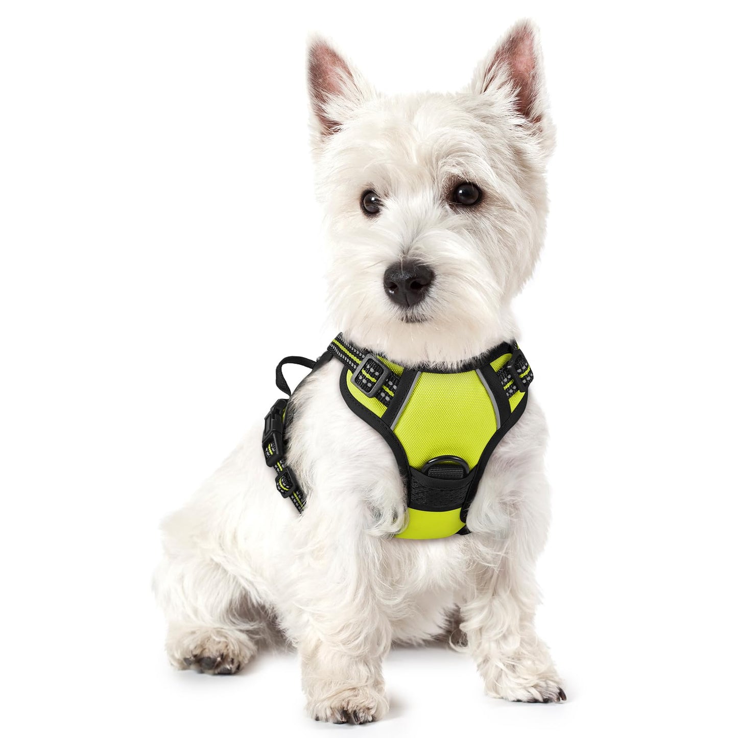 PawGuard No-Pull Reflective Dog Harness - Large Black