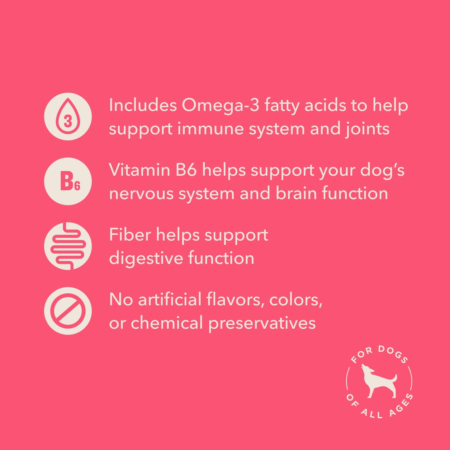 Wag Expedition Pumpkin Chia Dog Treats, Organic Biscuits