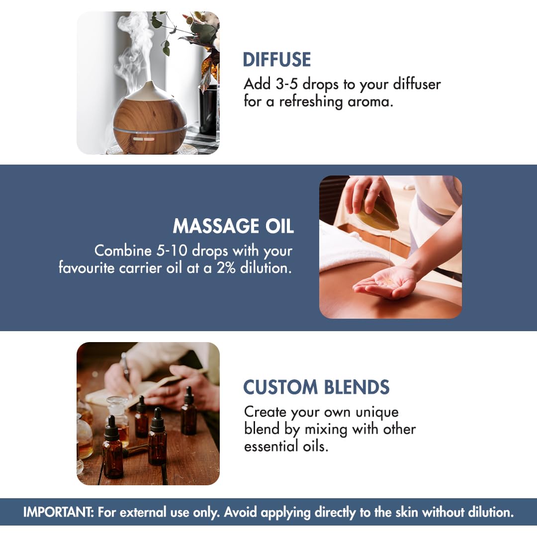 Majestic Pure Lavender Oil with Dropper 4oz