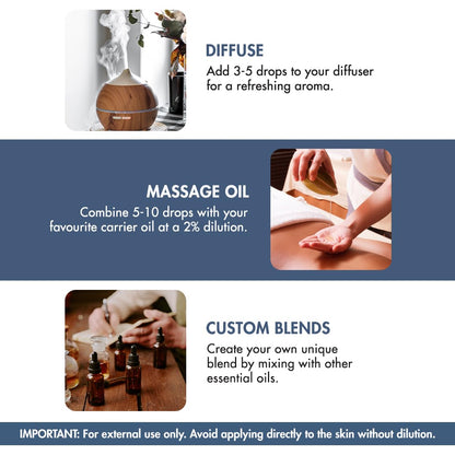 Majestic Pure Lavender Oil with Dropper 4oz