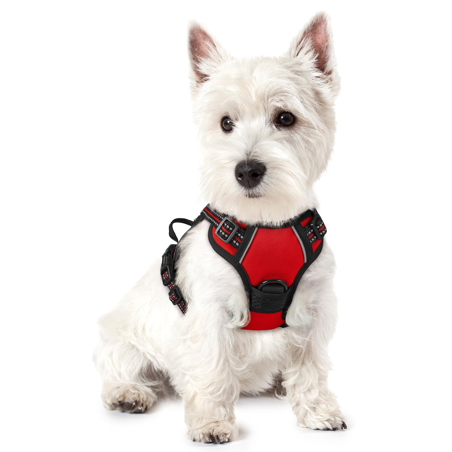 PawGuard No-Pull Reflective Dog Harness - Large Black