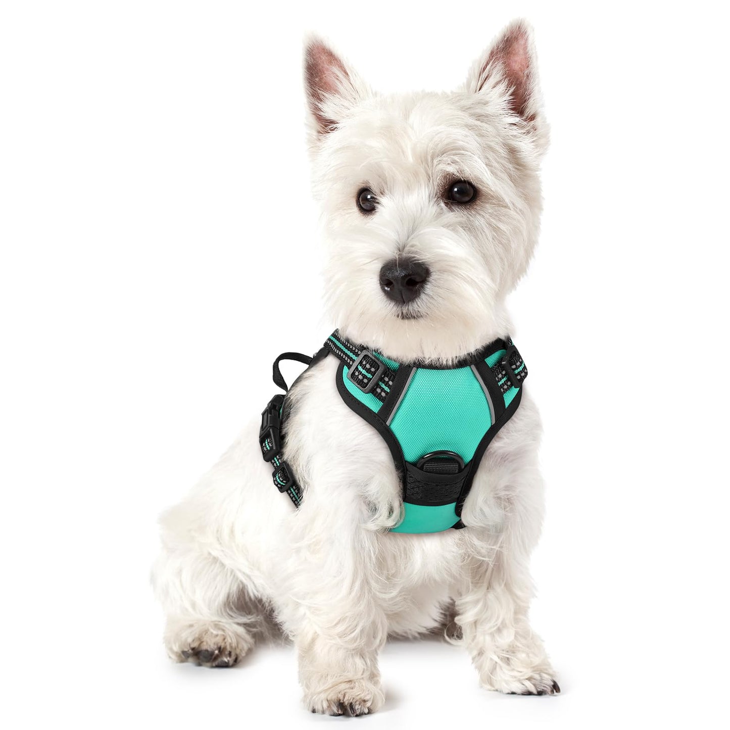 PawGuard No-Pull Reflective Dog Harness - Large Black