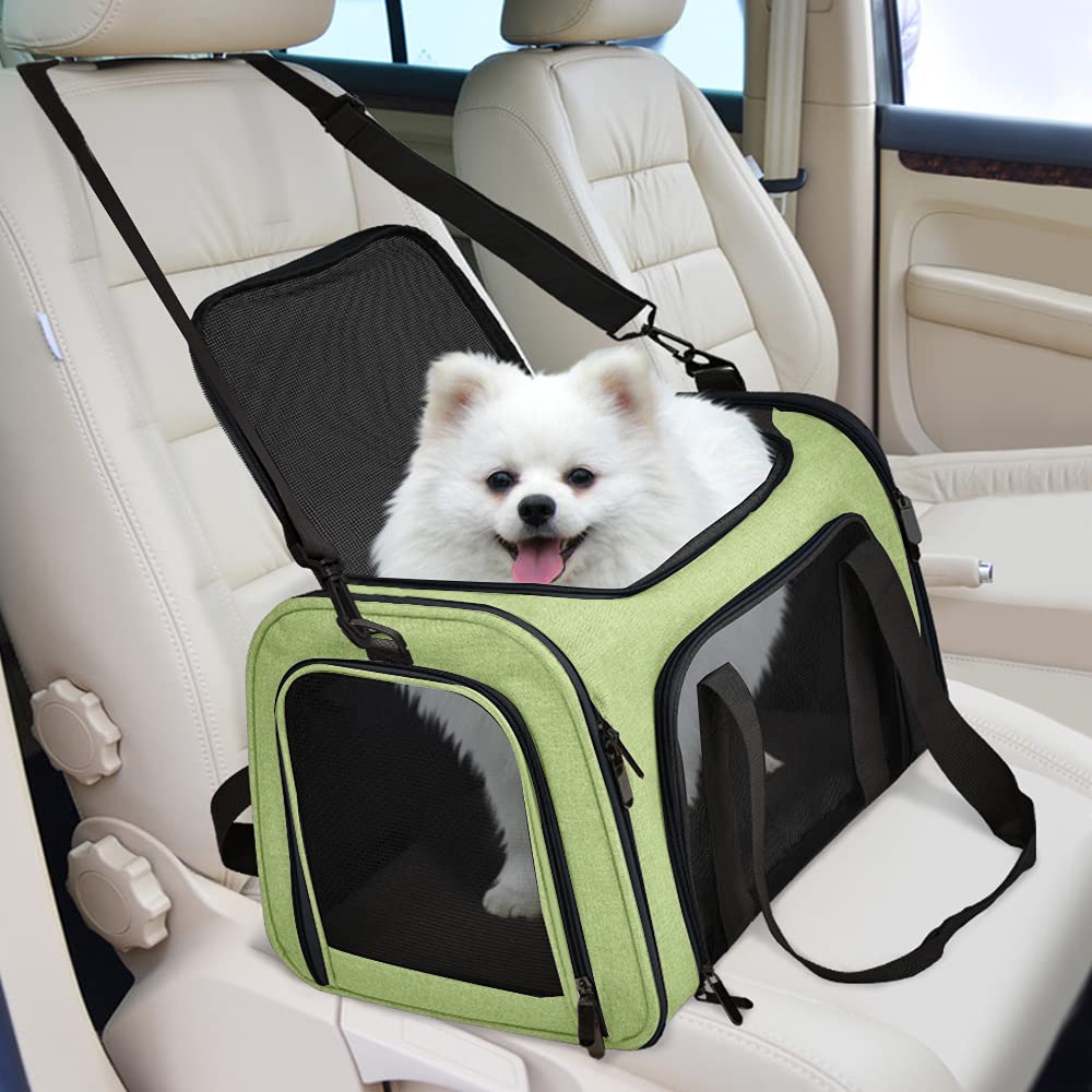 PawsVoyage: Grey TSA-Approved Pet Carrier (15lbs Max)