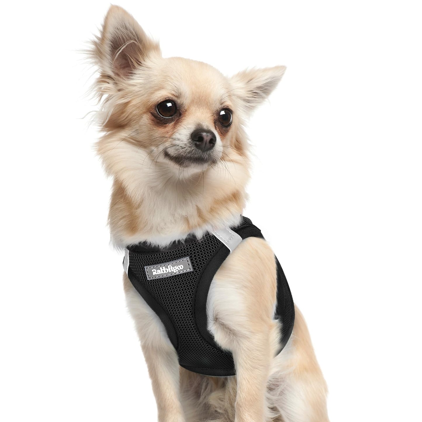BunnyStep: Reflective Mesh Harness for Small Dogs