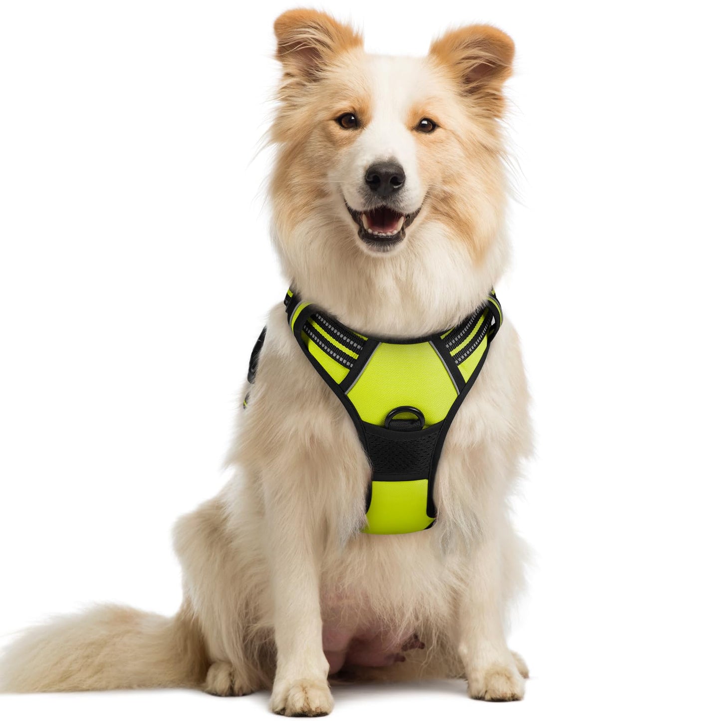 PawGuard No-Pull Reflective Dog Harness - Large Black