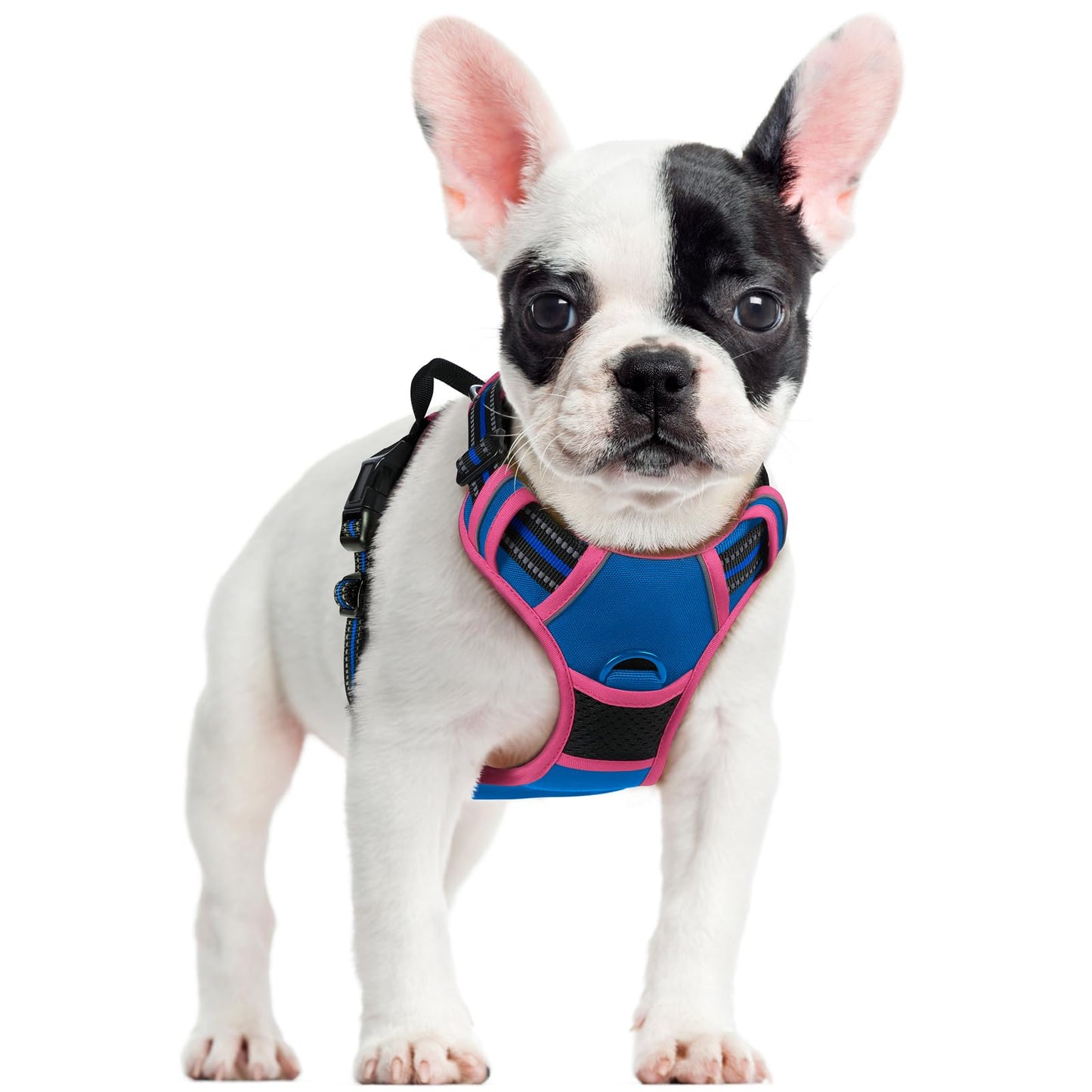 PawGuard No-Pull Reflective Dog Harness - Large Black
