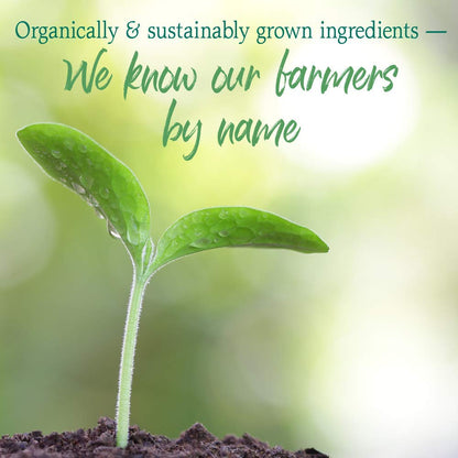 GreenVitality Superfood Powder - Juiced Greens Blend