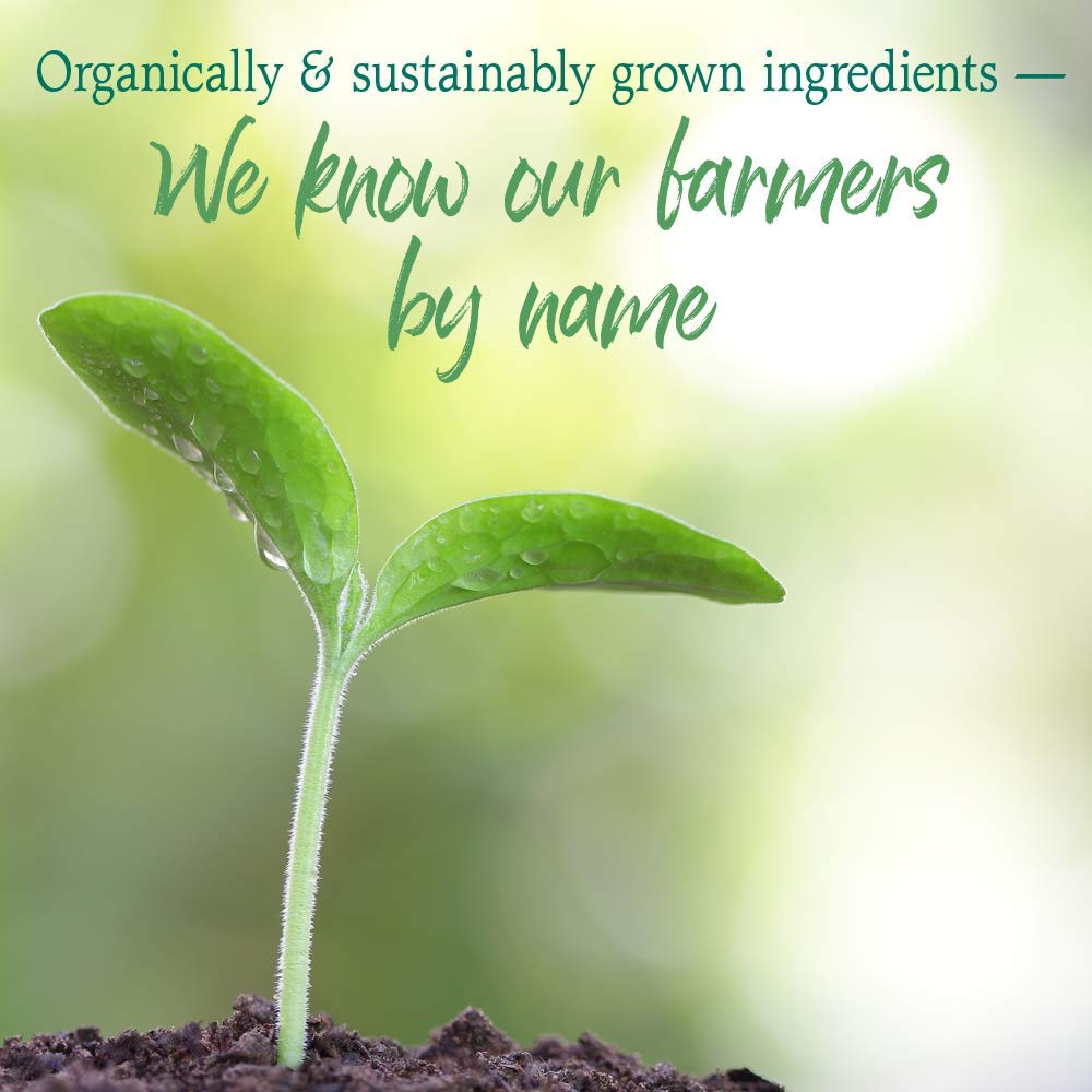 GreenVitality Superfood Powder - Juiced Greens Blend