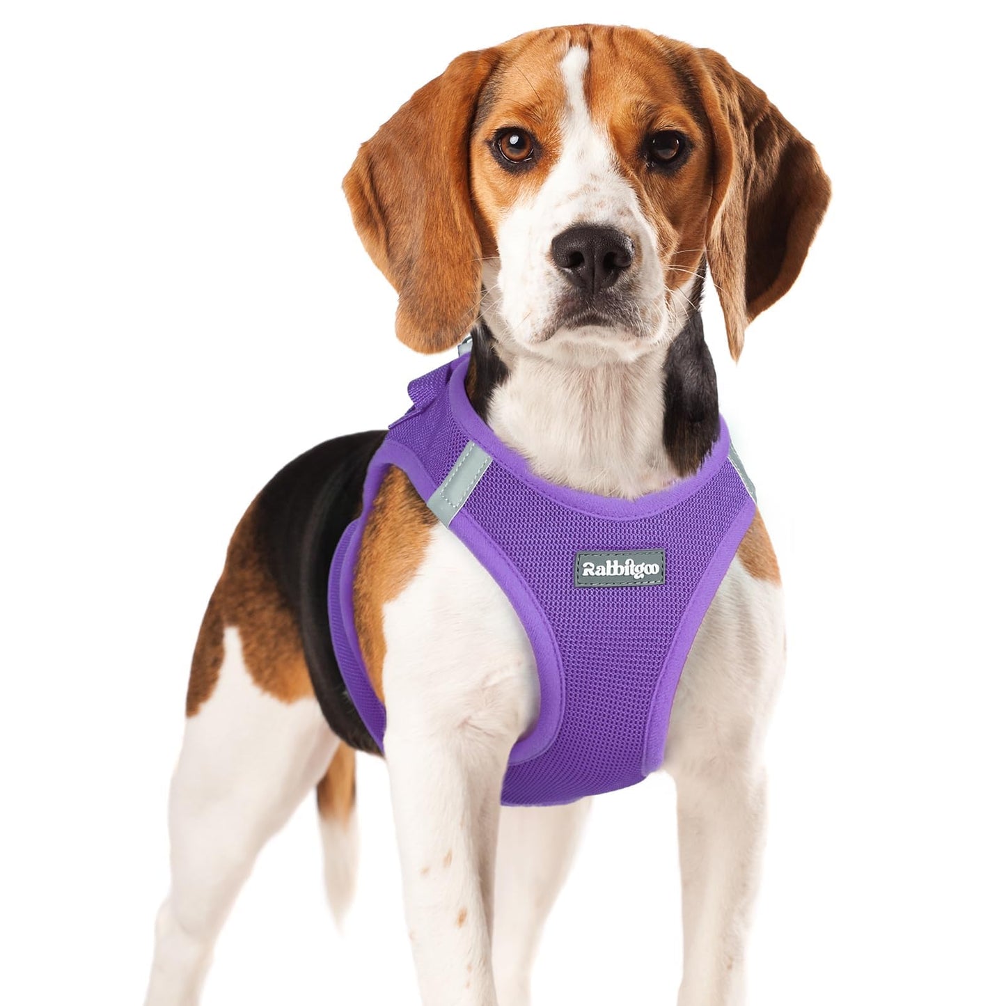 BunnyStep: Reflective Mesh Harness for Small Dogs