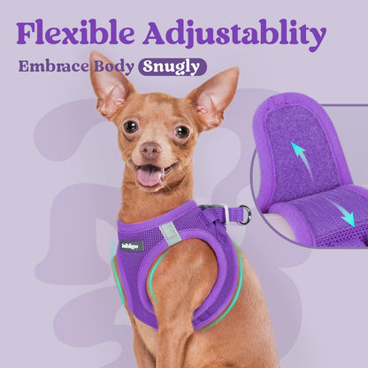 BunnyStep: Reflective Mesh Harness for Small Dogs