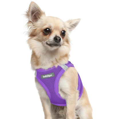 BunnyStep: Reflective Mesh Harness for Small Dogs