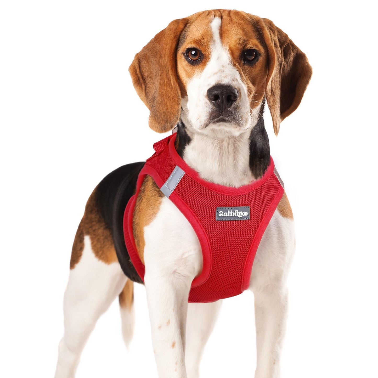 BunnyStep: Reflective Mesh Harness for Small Dogs