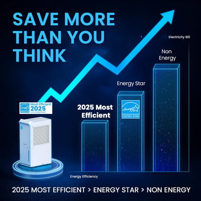 Vellgoo Energy Star Dehumidifier