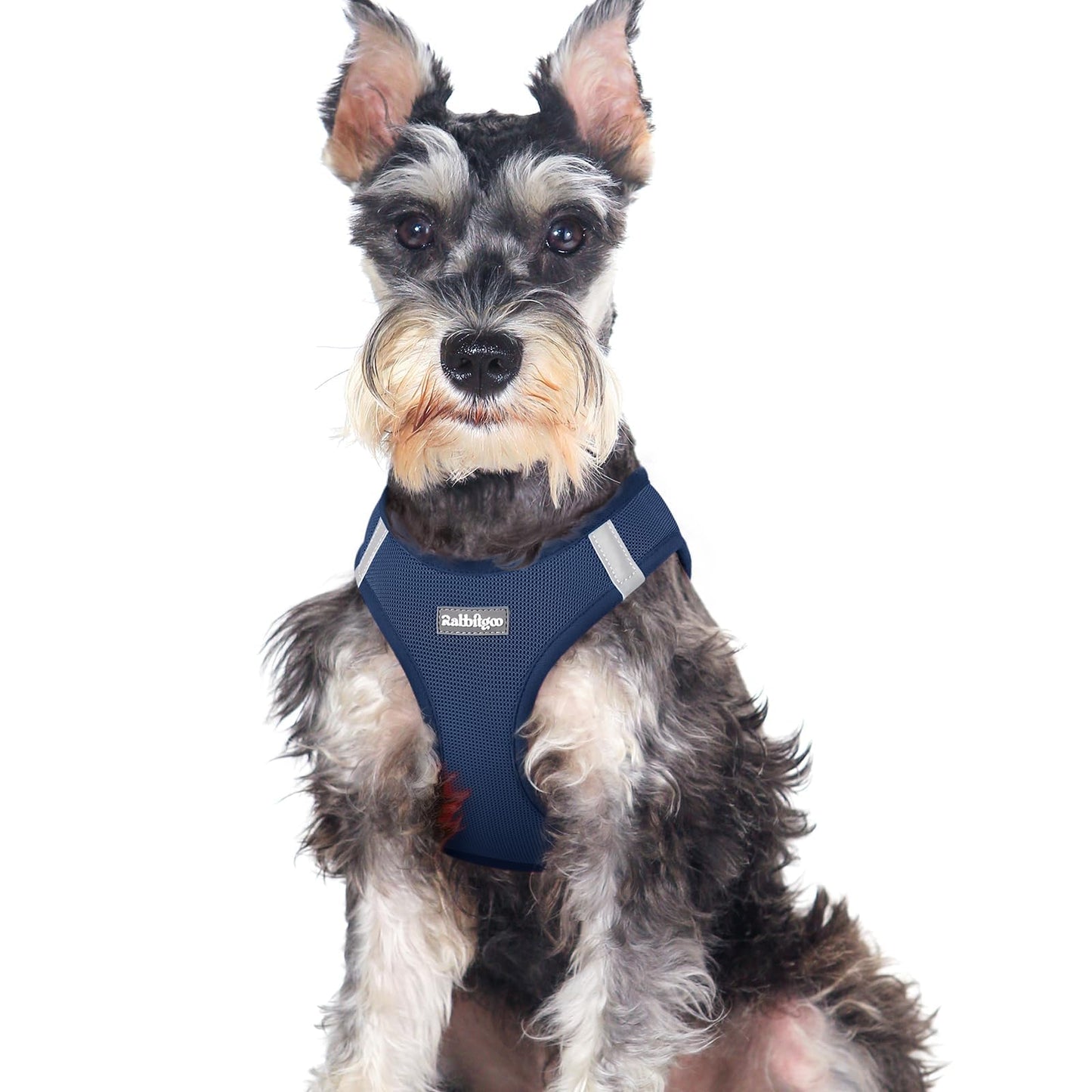 BunnyStep: Reflective Mesh Harness for Small Dogs