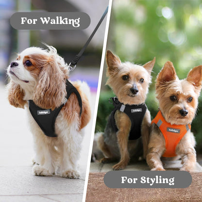 BunnyStep: Reflective Mesh Harness for Small Dogs