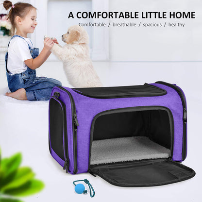 PawsVoyage: Grey TSA-Approved Pet Carrier (15lbs Max)