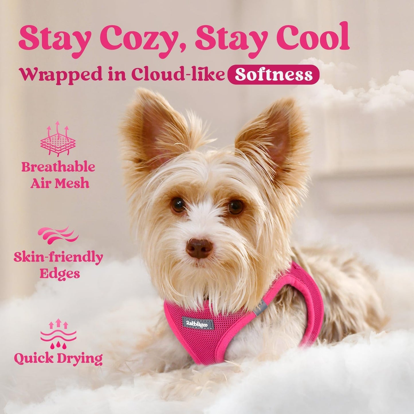 BunnyStep: Reflective Mesh Harness for Small Dogs