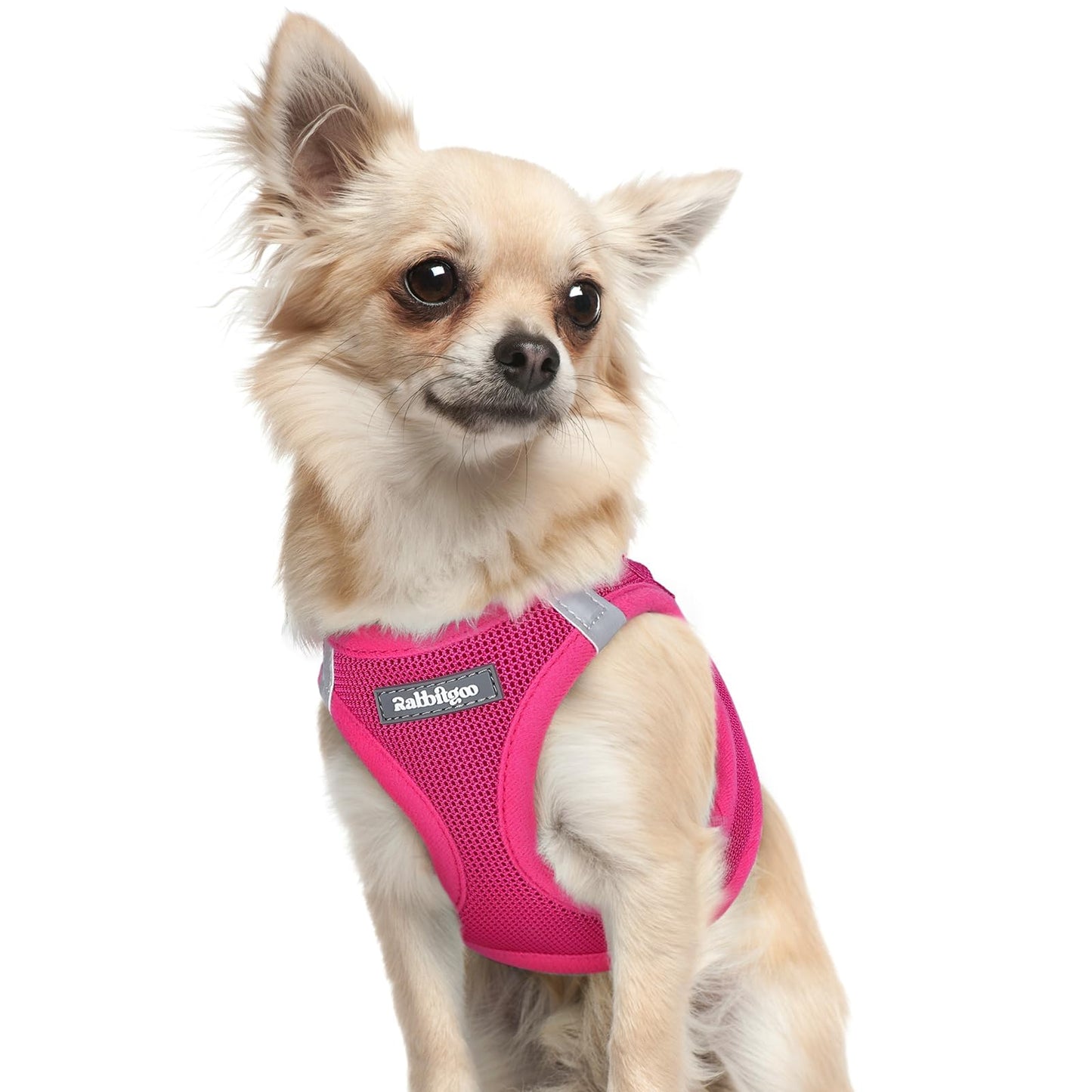 BunnyStep: Reflective Mesh Harness for Small Dogs