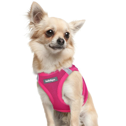 BunnyStep: Reflective Mesh Harness for Small Dogs
